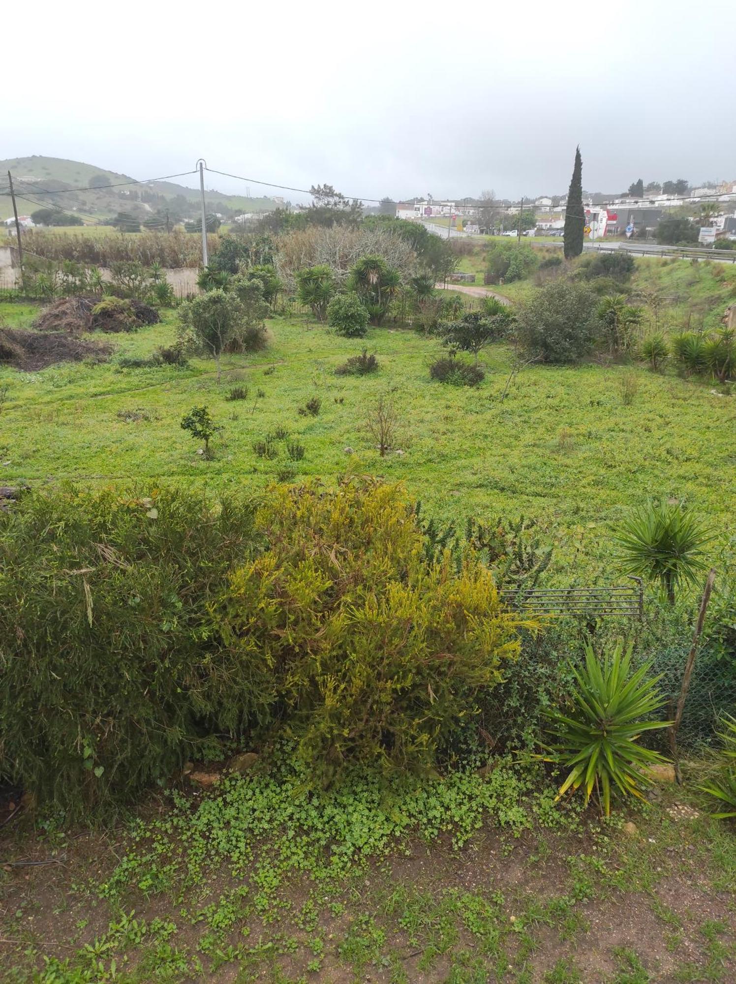 Homestay Casa Da